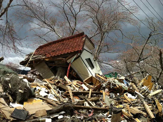 Fukushima Prefecture, from The Tsunami and the Cherry Blossom