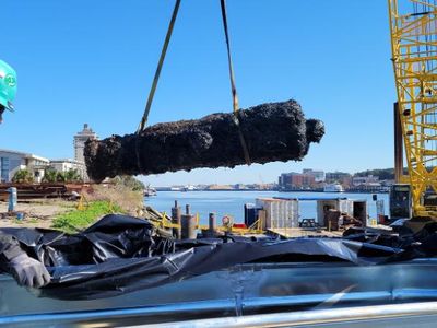Archaeologist pulled 12 Revolutionary War era cannons from the Savannah River in January.&nbsp;