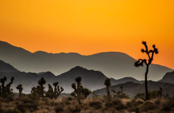Desert Sunset thumbnail