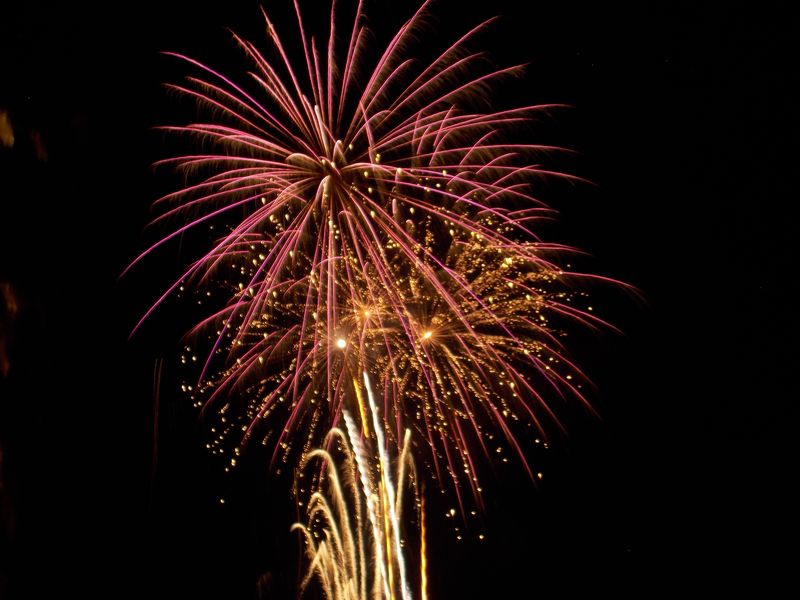 Fire Flower | Smithsonian Photo Contest | Smithsonian Magazine