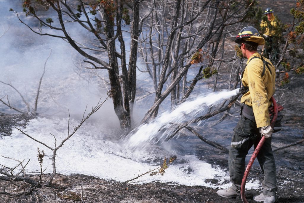 A firefighter sprays a wildfire with foam.