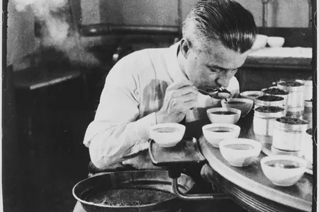 A federal tea taster at work.