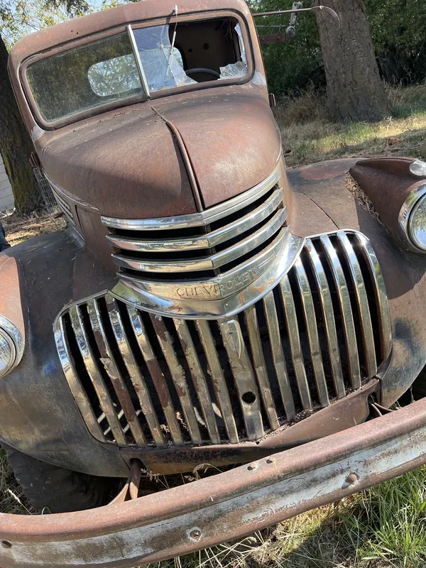 Rusty Truck in the Wild thumbnail