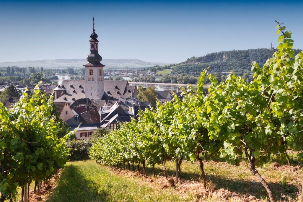 Rudesheim am Rhein