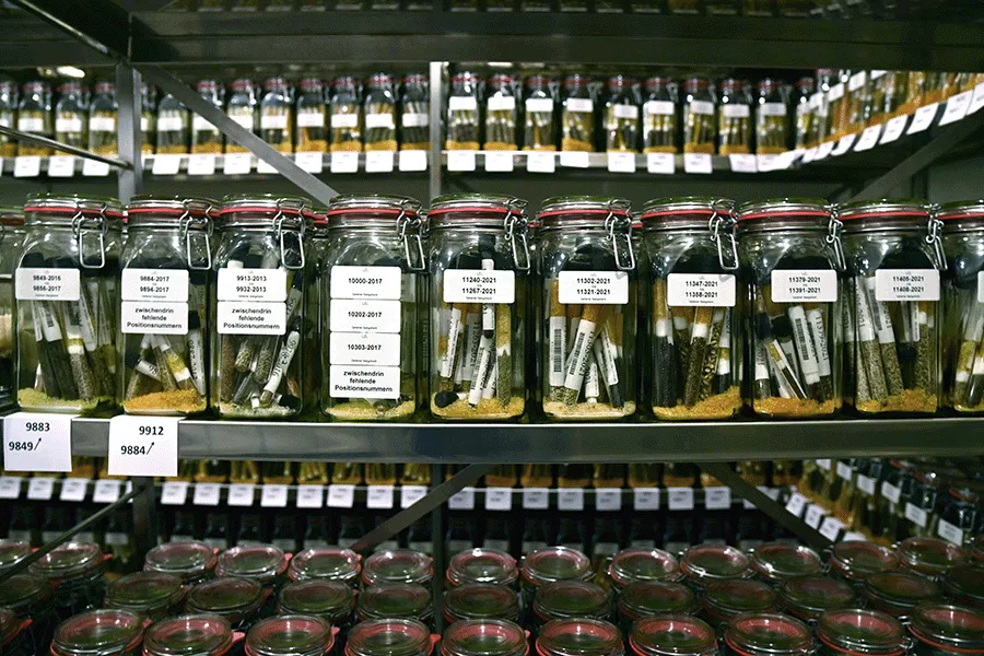 Cellar Room at Dahlem Seed Bank