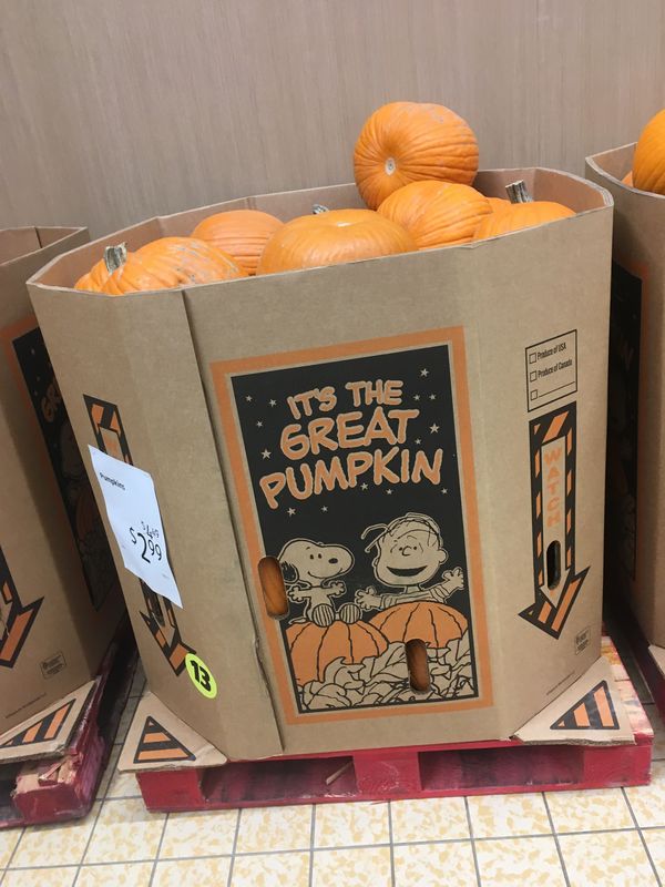 A Pumpkin Patch at the Store thumbnail