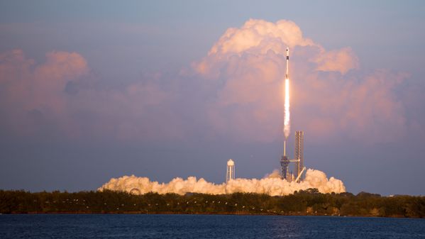 While Some Return, Others Rise thumbnail