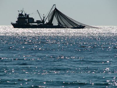 A fishing trawler off the coast of Turkey.