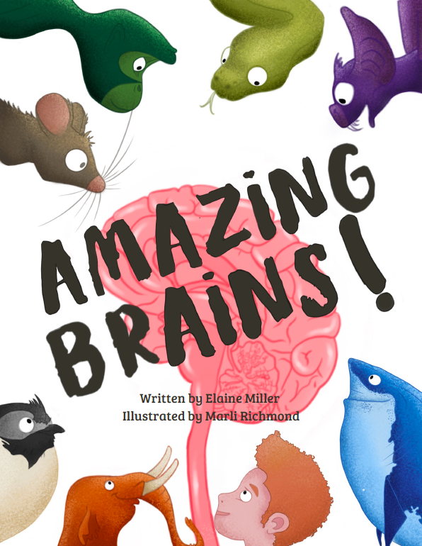 A book cover with Amazing Brains in brown over a pink brain and colorful animals.