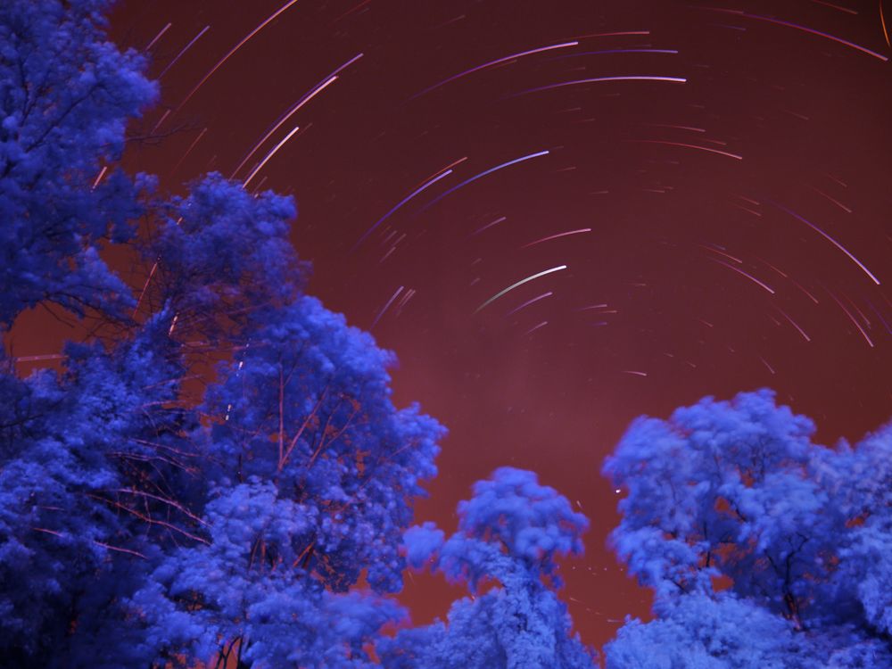 Infrared star trails | Smithsonian Photo Contest | Smithsonian Magazine