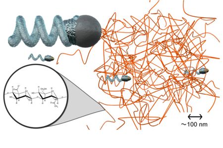 Nanopropellers, shown in this artists rendition as the smaller corkscrew shapes can move through even difficult areas of the body. Micropropellers, like the one illustrated in the top left, tend to get stuck in the same materials (shown here in orange) 