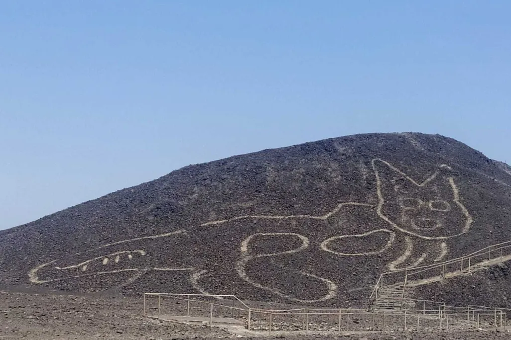 Nazca Line Depicting Cat 