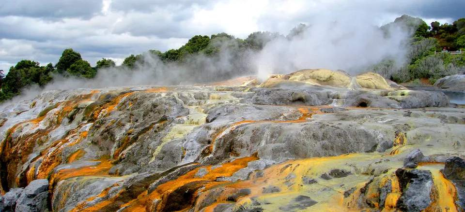  The Po Hutu Geyser in Rotorua 