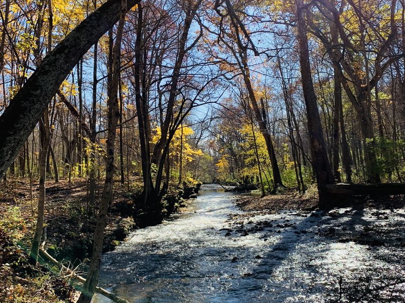 Yellow Springs Smithsonian Photo Contest Smithsonian Magazine