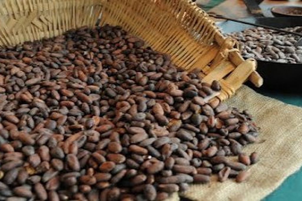 Indulge and educate yourself at the Power of Chocolate Festival this weekend.