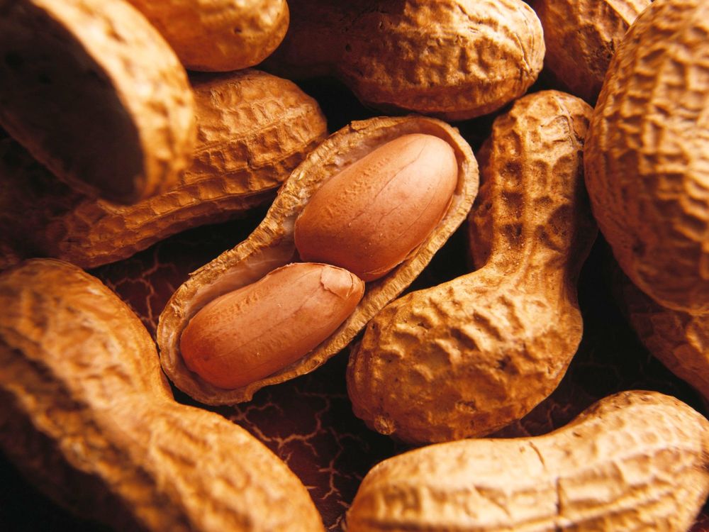 Delicious Peanuts