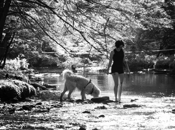 Sunday Walk thumbnail