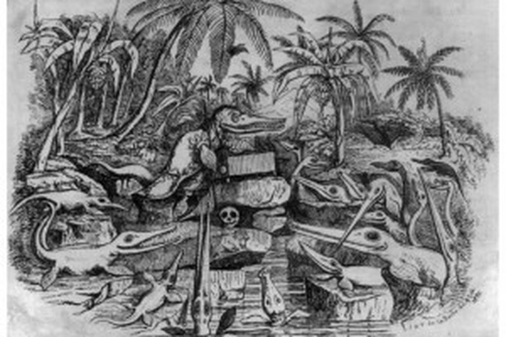 20110520083221ichthyosaur-300x266.jpg