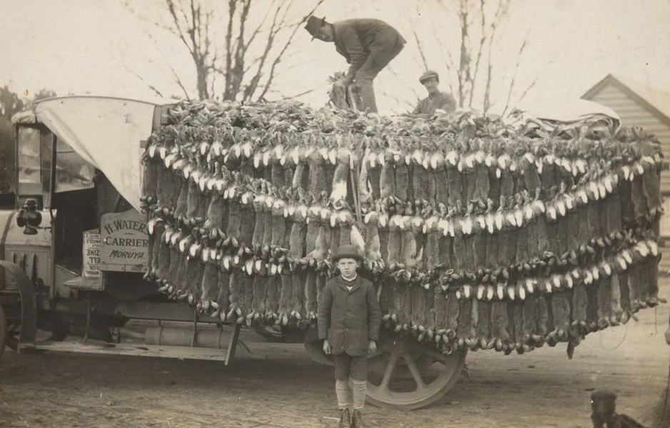 A man stands in front of a truck load of dead rabbits during the rabbit plague in Australia in 1930