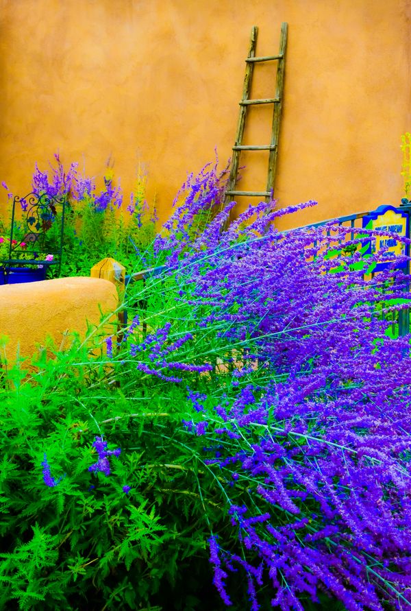 Adobe & Lavender on Ledoux street in Taos thumbnail