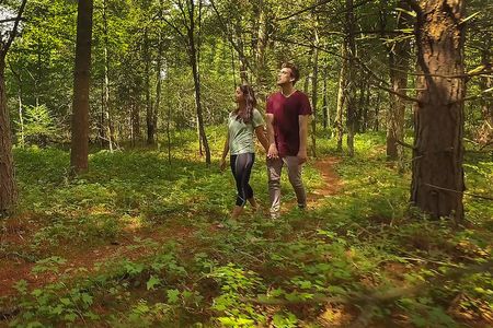 iForest is an immersive sound experience located at The Wild Center in the Adirondacks.
