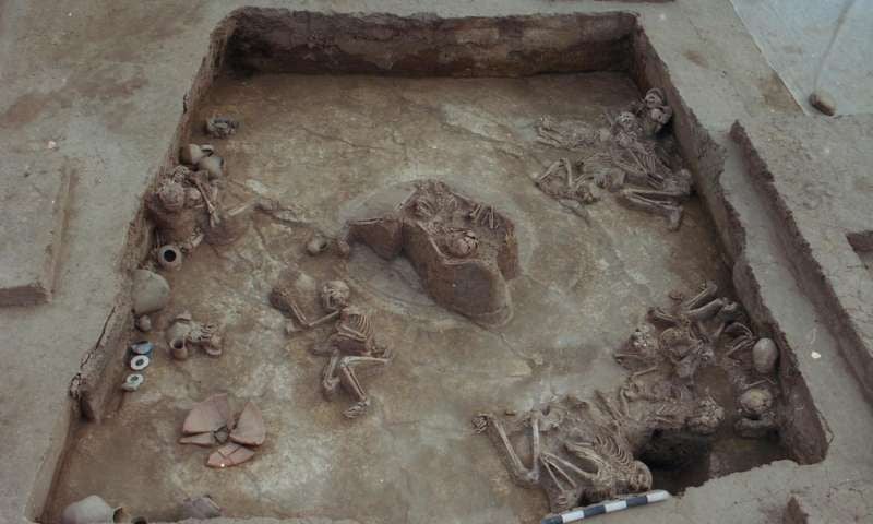 Flood Skeletons