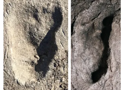 The footprints from site A (left) look similar to those excavated from site G (right), but they are much wider.&nbsp;