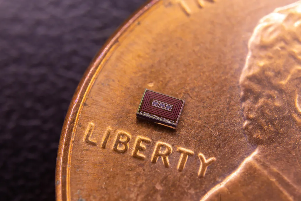 alcohol chip