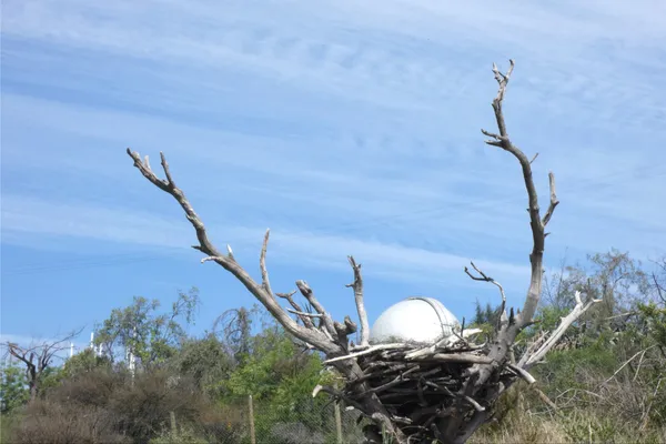 Egg and Nest thumbnail