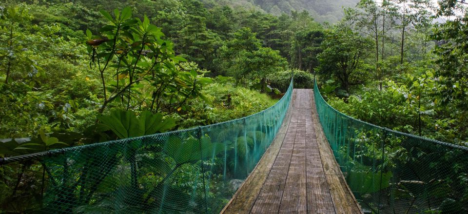  Hanging bridge through the jungle canopy Credit: Christina Victoria