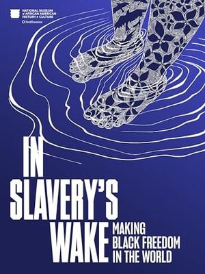 Preview thumbnail for 'In Slavery's Wake: Making Black Freedom in the World