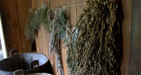 Dried herbs