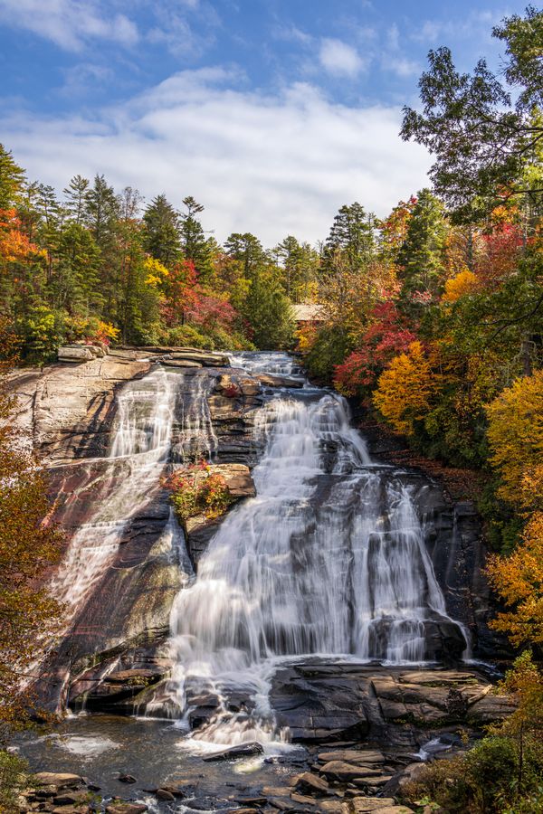 High Falls and Covered Bridge, Dupont State Forest, in Autumn thumbnail
