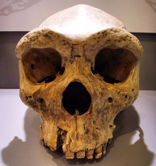 In 1921, a miner found Kabwe 1, also called the Broken Hill Skull.