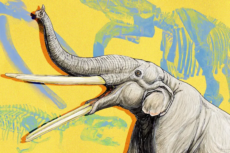 Ancient Elephant Illustration With Fossils