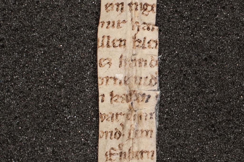 Vulva Poem Fragment