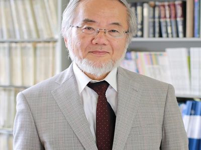Yoshinori Osumi, the 2016 winner of the Nobel Prize in Physiology or Medicine