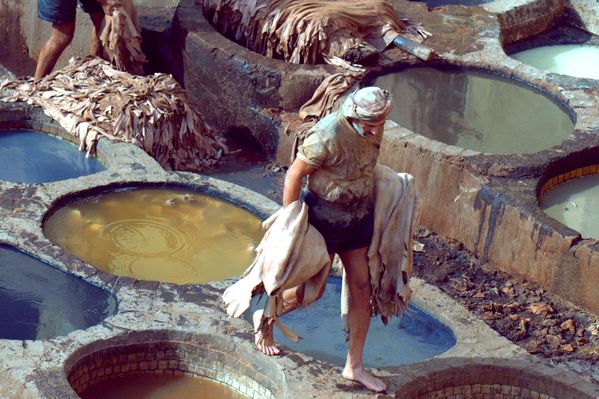 Leather dye worker walking among dye vats in Morocco tannery thumbnail