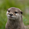 20070723-151MM.png