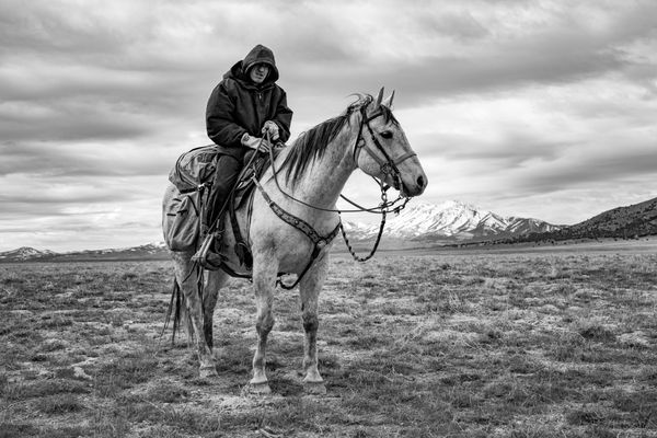 Rider Upon Horse thumbnail