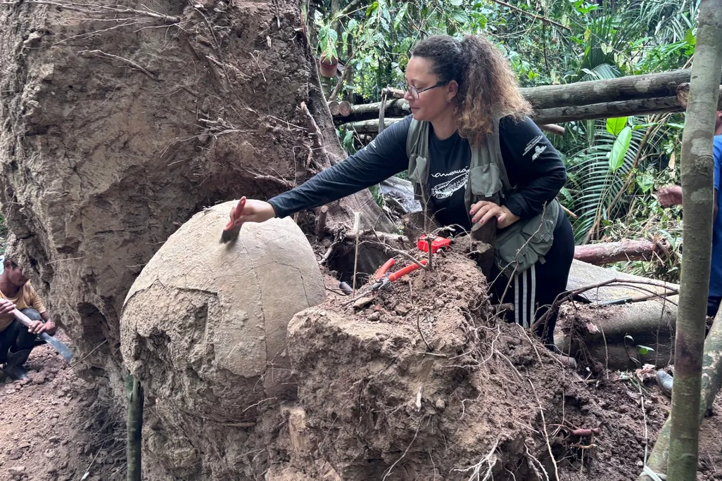 Archaeologist Geórgea Layla Holanda examines a funerary urn found beneath a tree in the Brazilian Amazon.