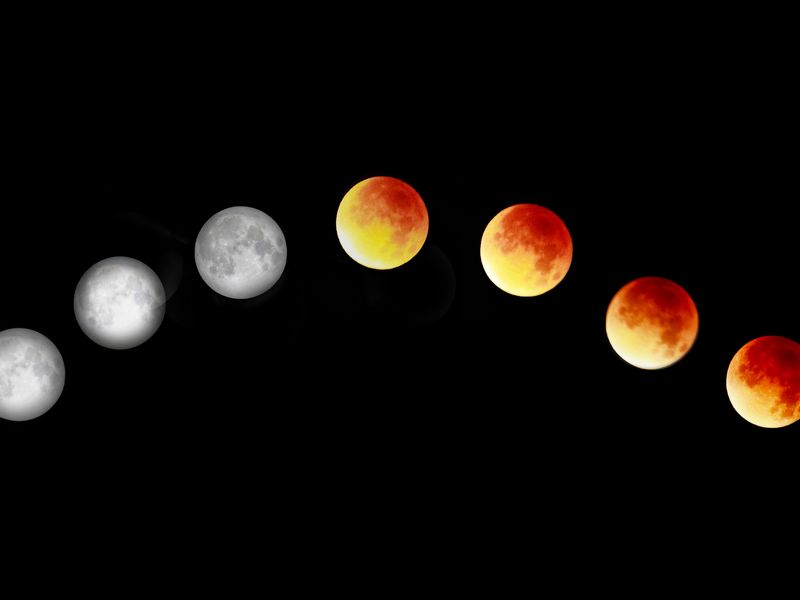 The seven moons Smithsonian Photo Contest Smithsonian Magazine