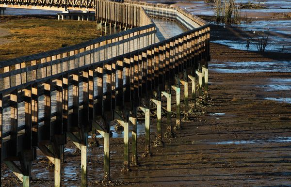 Boardwalk at Low Tide thumbnail