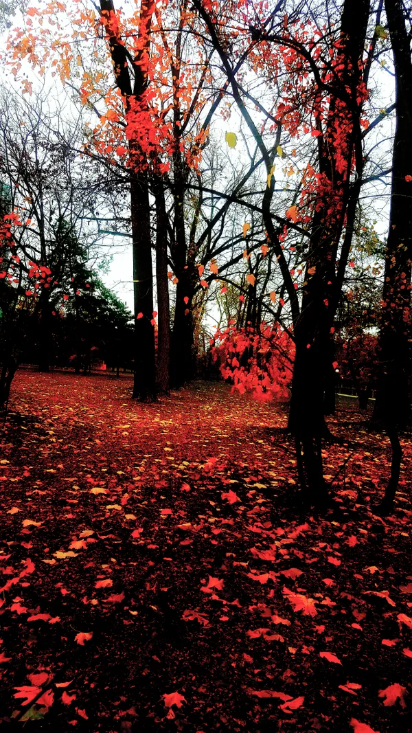 AUTUMN 2025 I thumbnail