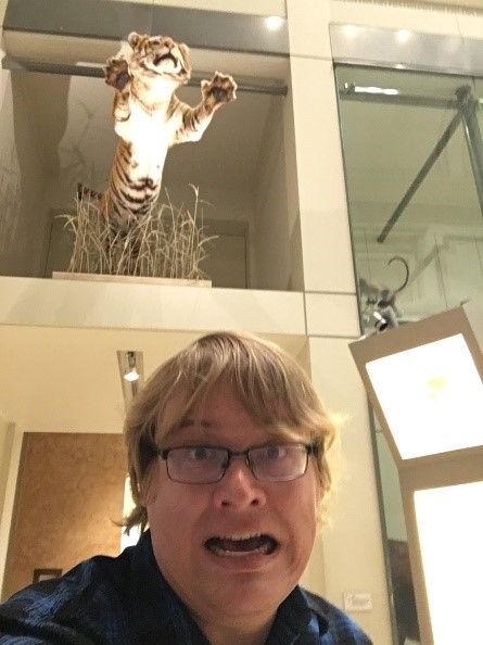 A visitor appears scared in a selfie with a tiger on display in the "Kenneth E. Behring Family Hall of Mammals" at the Smithsonian's National Museum of Natural History.