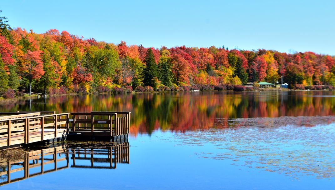 Fall Colors in Pennsylvania State Gamelands | Smithsonian Photo Contest ...