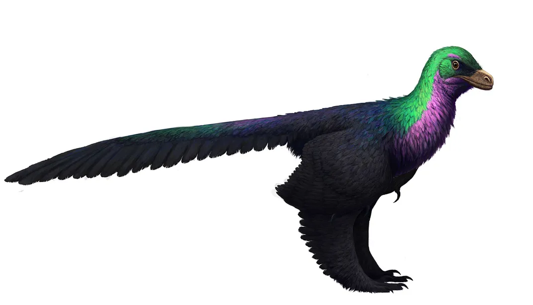 Caihong