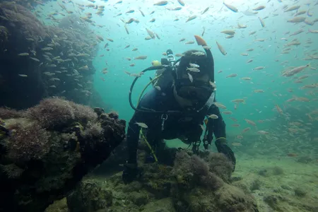 A diver off the coast of Sisal, Mexico, investigates the wreck of La Unión in 2017.