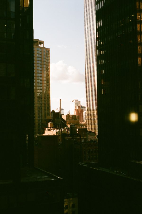 New York Window Views thumbnail