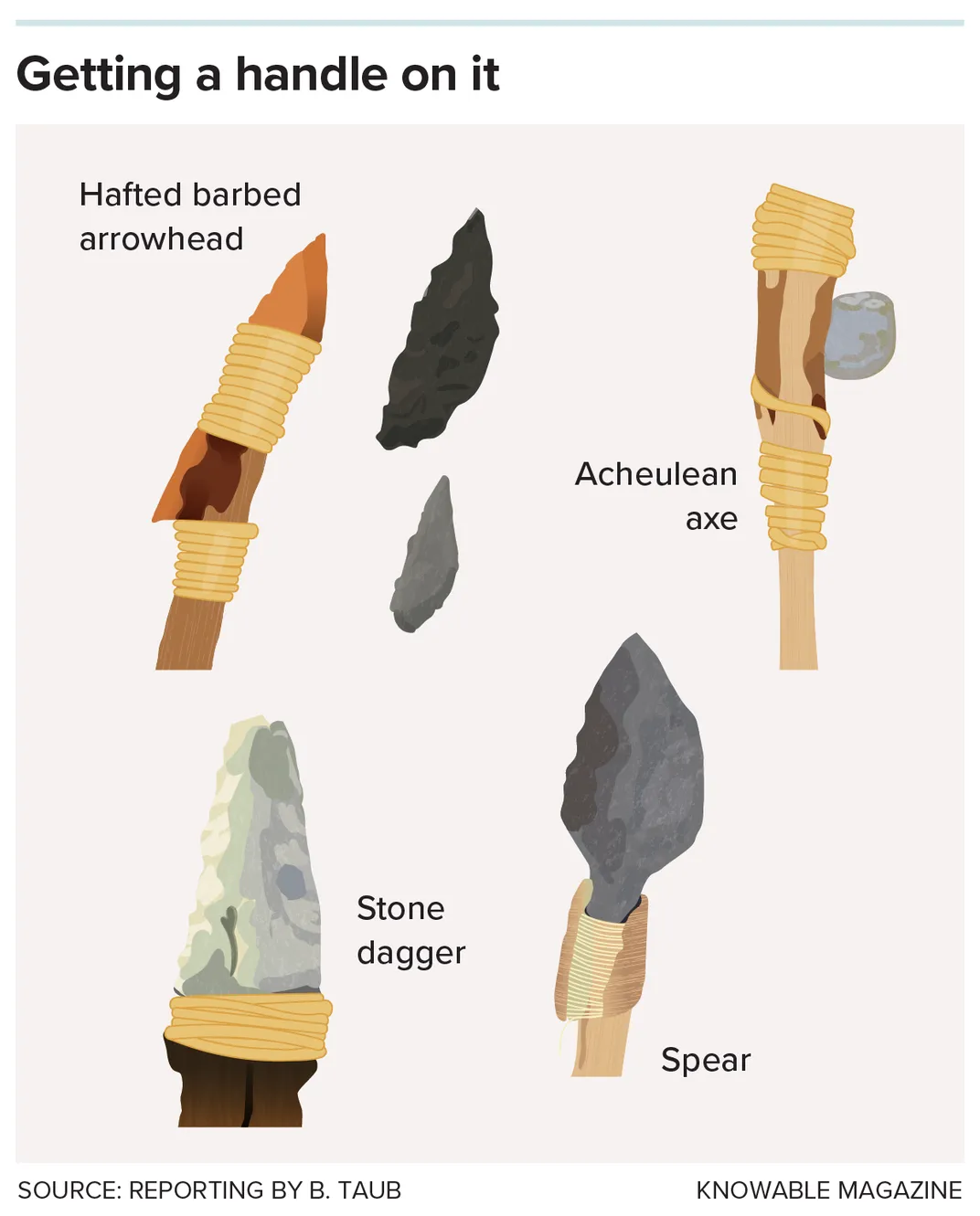 an illustrated graphic shows stones attached to sticks with strings to create a hafted barbed arrowhead, an Acheulean axe, a stone dagger and a spear